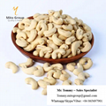 Free Samples Wholesale Cashew Nuts W320 Cashew Nuts Vietnam Cashew with FREE TAX 4