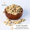 Free Samples Wholesale Cashew Nuts W320 Cashew Nuts Vietnam Cashew with FREE TAX 5