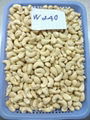 Free Samples Cashew Nuts WW240 BRC ISO