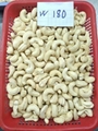 Free Samples Cashew Nuts Wholesale Price WW180 Raw BRC ISO HACCP Certific FREE T