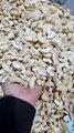 Free Samples White Split Cashew Good Logistics Service Raw Cashew NutsBRC ISO HA