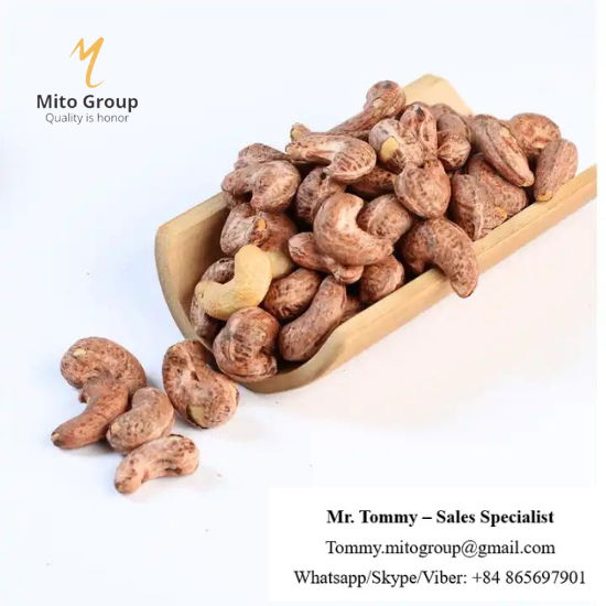 Free Samples Cashew Nuts Roasted with Skin W180 BRC HACCP ISO FREE TAX