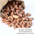 Free Samples Cashew Nuts Roasted with Skin W180 BRC HACCP ISO FREE TAX 3