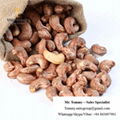 Free Samples Roasted Cashew Nuts 320 with Salt for Healthy Snack with BRC HACCP  1