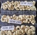 Free Samples Vietnam Cashew Nuts All Grades W180/ W240/ W320/ W450/ Ws/ Lp FREE  2