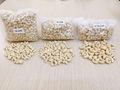 Free Samples Vietnam Cashew Nuts All Grades W180/ W240/ W320/ W450/ Ws/ Lp FREE  3