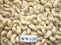 Free Samples Vietnam Cashew Nuts All Grades W180/ W240/ W320/ W450/ Ws/ Lp FREE  4