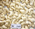 Free Samples Vietnam Cashew Nuts All Grades W180/ W240/ W320/ W450/ Ws/ Lp FREE 