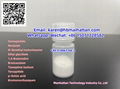 Semaglutide CAS 910463-68-2 1