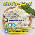  PMK ethyl glycidate cas:2503-44-8 2