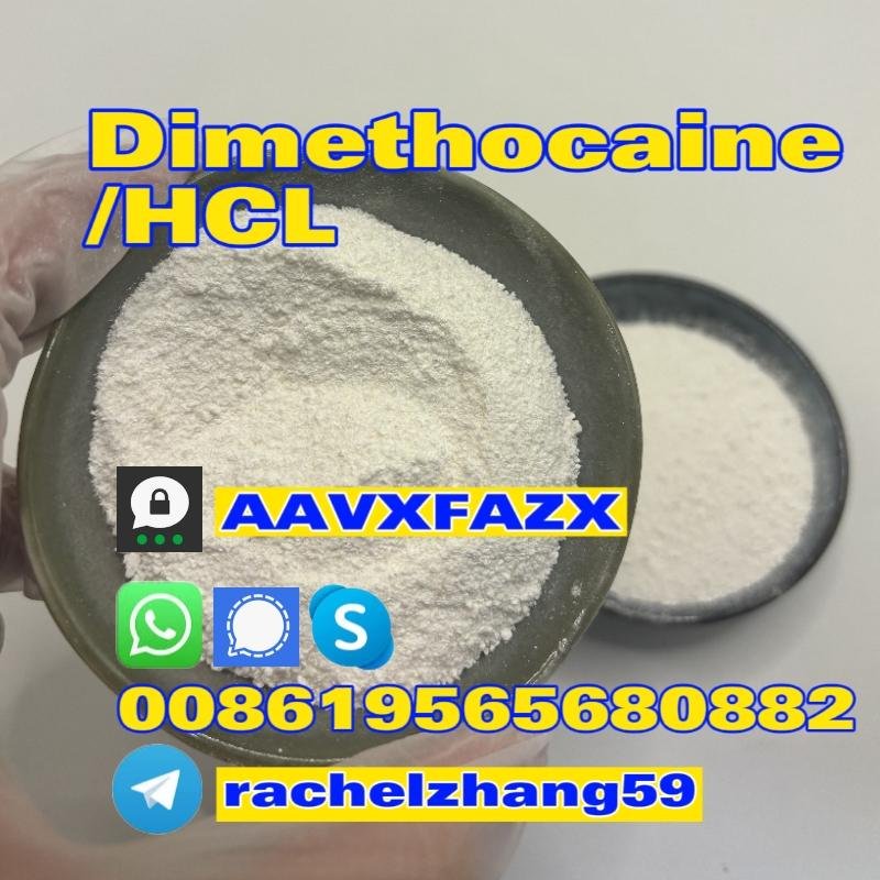 High quality and high purity dimethylcaine/hcl raw powder supply cas: 553-63-9