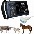 Ultrasound Veterinary Pregnant Tester,