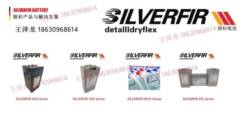 SILVERFIR BATTERY 2VEG600 POWER