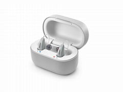 Hearing Aids Powered by Bose - Light Gray