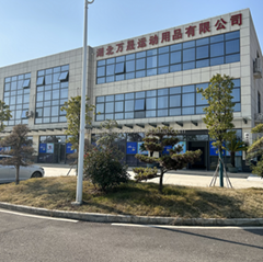 Hubei Wansheng Sports Goods Co., Ltd