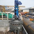 vertical agtitaor,mixer 1