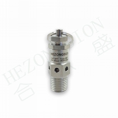 Pressure Relief Valve (Hot Product - 1*)