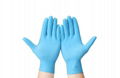 Disposable Nitrile Gloves