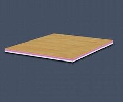 PVC Basketball Flooring