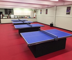 PVC Table Tennis Flooring