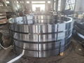 S355NL A105 Large Diameter Forged Flanges 5