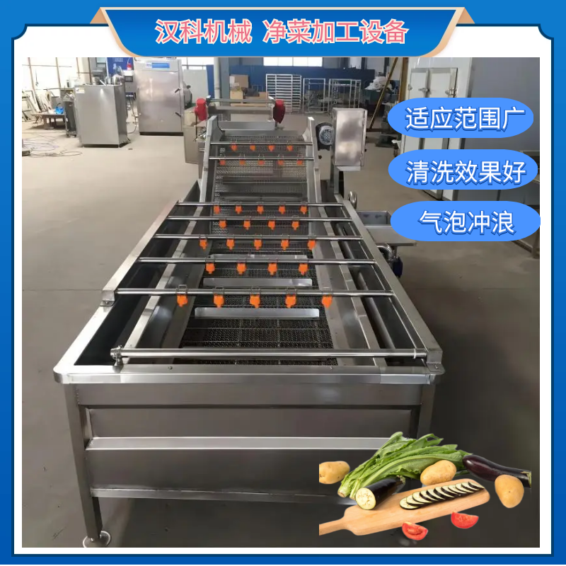 果蔬气泡清洗机 全自动清洗机 婆婆丁清洗机 2