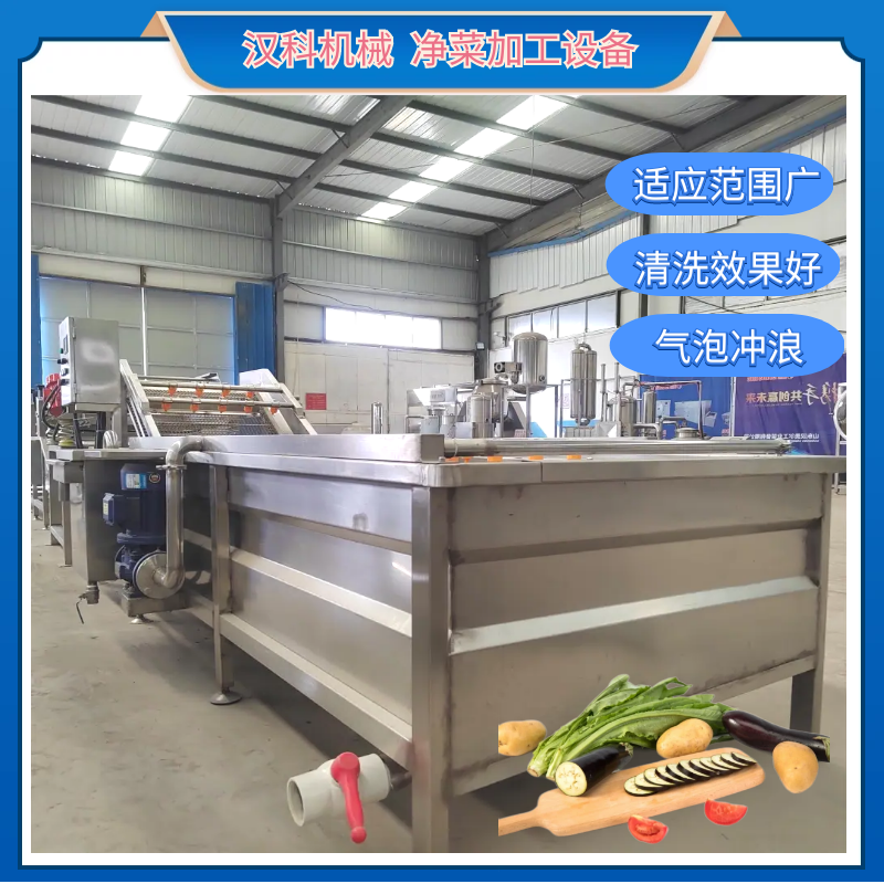 果蔬氣泡清洗機 全自動清洗機 婆婆丁清洗機 4