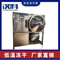 榴蓮保鮮凍干機 低溫凍干機 真空冷凍乾燥機 5