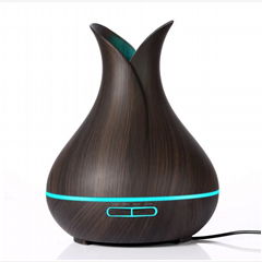 Big Capacity Home Aromatherapy Humidifier