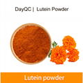 Marigold extract Lutein and zeaxanthin benefits 2