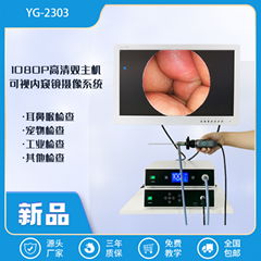 双主机可视内窥镜仪器 YG-2303 24寸屏幕