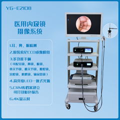 医用高清双主机YG-E2108 医用屏幕27寸耳鼻喉检查仪器