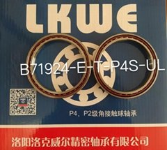 FD1000-DLR-T-P4S High-speed Floating Displacement Bearing