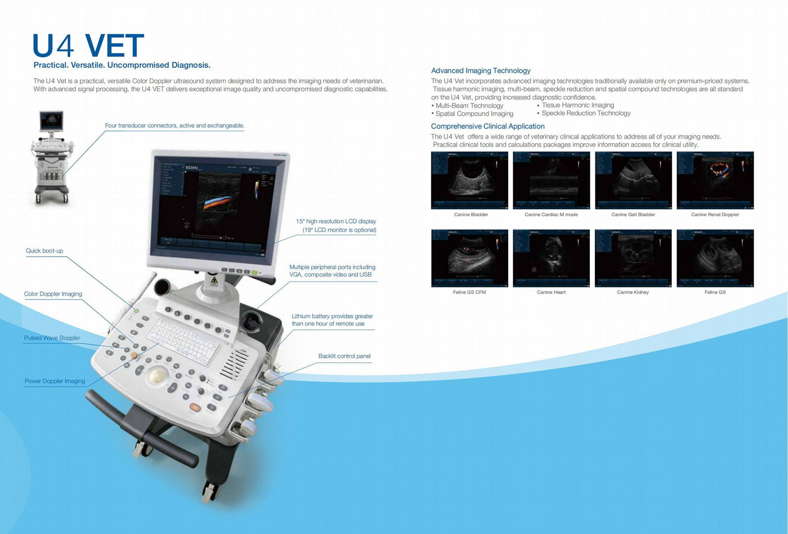 Ultrasound probe,transducer L14-6WU for U4 Vet 3