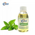 Baisfu Peppermint oil Cooling agent