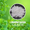 baisfu High purity L-menthyl lactate 5