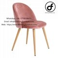 Pink velvet wooden leg dining chair 1