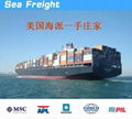 PALIN 中南美海运整柜拼箱服务 中国到中美洲 中南美海运拼箱 3