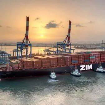 整柜运输美国海运庄家ZIM代理以星快船庄家直航美国 4