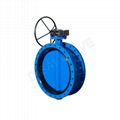 D341X Double Flange Concentric Butterfly Valve 1