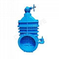 Metal Seated Gate Valve 1