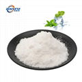 Supply Hot Sale 99% L-menthyl Lactate