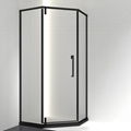 Glass Dressing room partition frosted