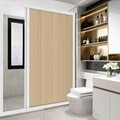 Tempered Glass Shower Door Home Shower Partition For Bathroom