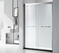 bathroom shower room door frameless