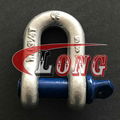 Screw Pin D Shackle U.S. Type