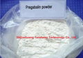 Pregabalin powder CAS 148553-50-8 1