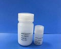 Pentadecapeptide  BPC 157 Peptide CAS No. 137525-51-0 4