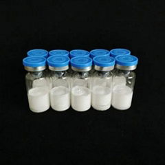 HCG Human  Chorionic Gonadotropin  CAS No. 9002-61-3