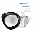 CAS No. 38304-91-5 Hair Care Raw Powder Minoxidil